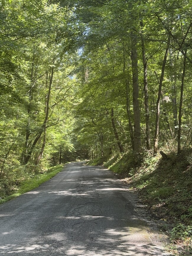 0 Albert Fentress Rd unit RTC2906900, Greenbrier, TN 37172 - photo 7