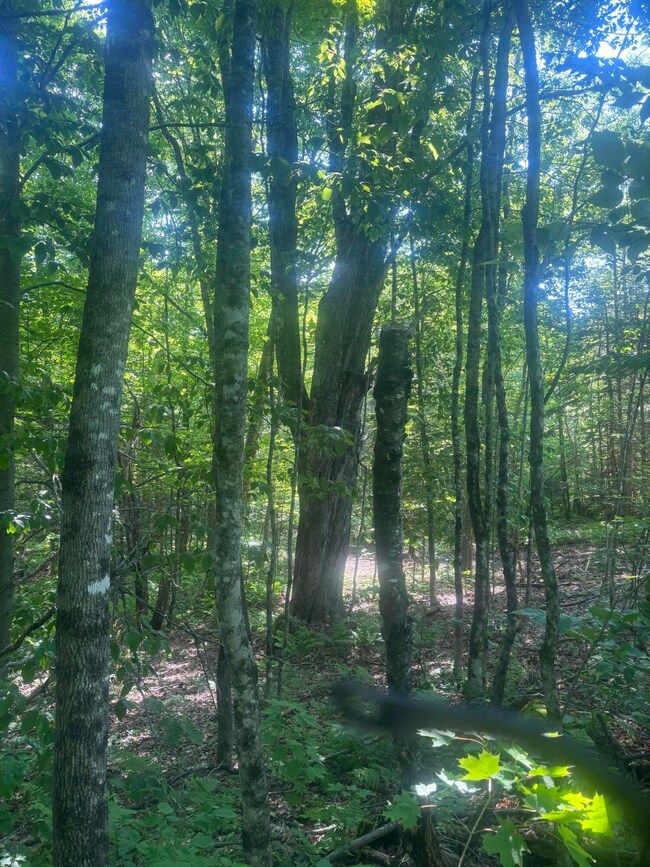 M5-L31,32 Gray, Harmony, ME 04942 - photo 2