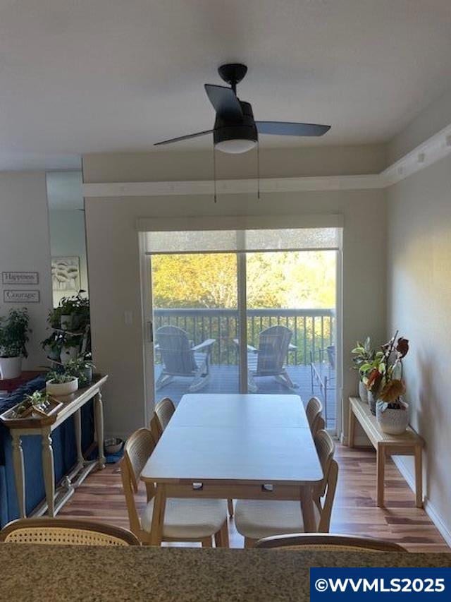 2341 Crestview Dr S, Salem, OR 97302 - photo 4