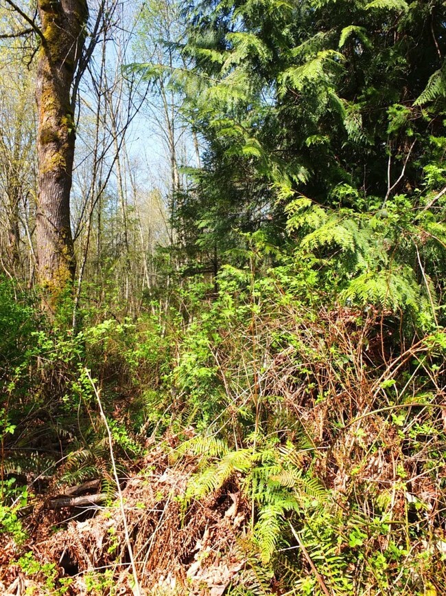 unlisted-address, Stanwood, WA 98292 - photo 2