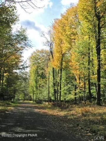 9 Lake In the Clouds, Barrett Township, PA 18325 - photo 4