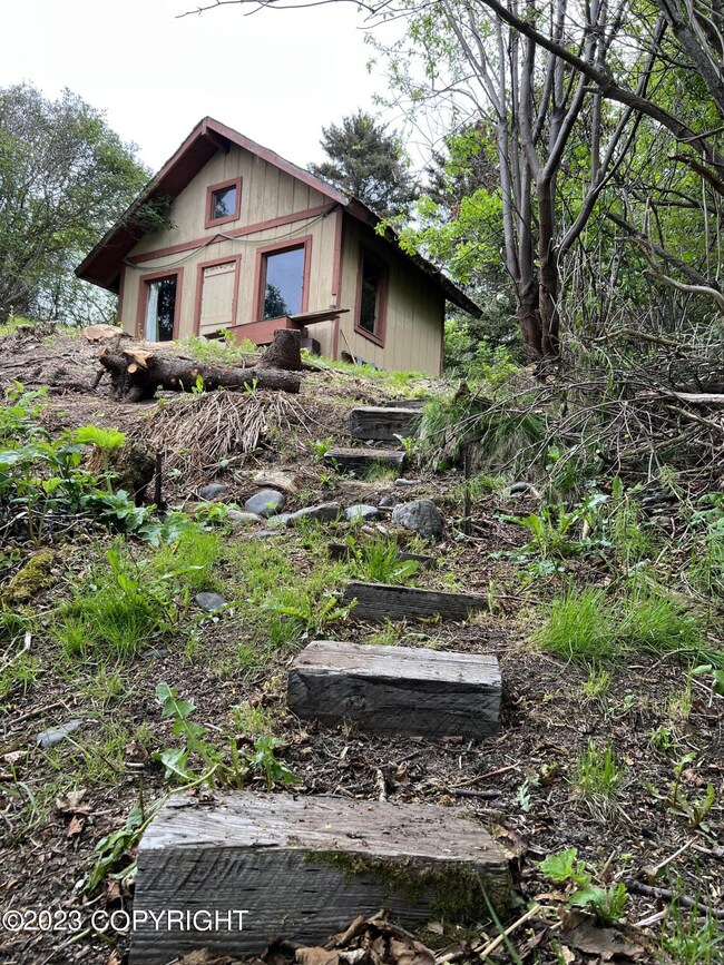 Path to Cabin