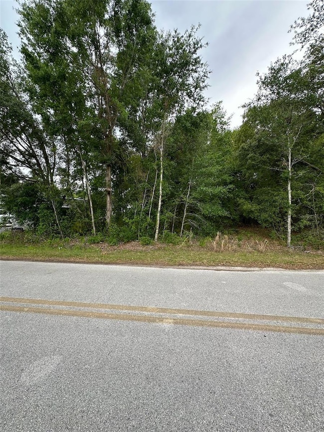 0 SE 86th Ct, Belleview, FL 34420 - photo 2