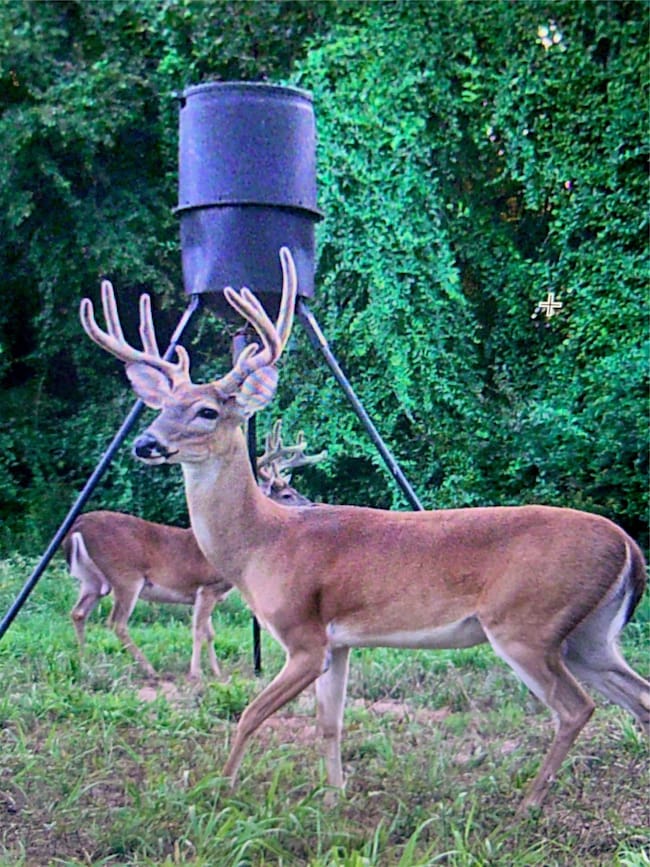 TBD County Road 1103, Athens, TX 75751 - photo 2