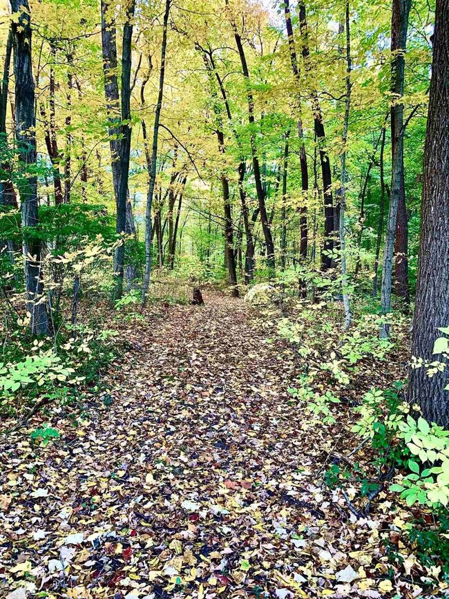 00 N 300 W, Pines, IN 46360 - photo 3