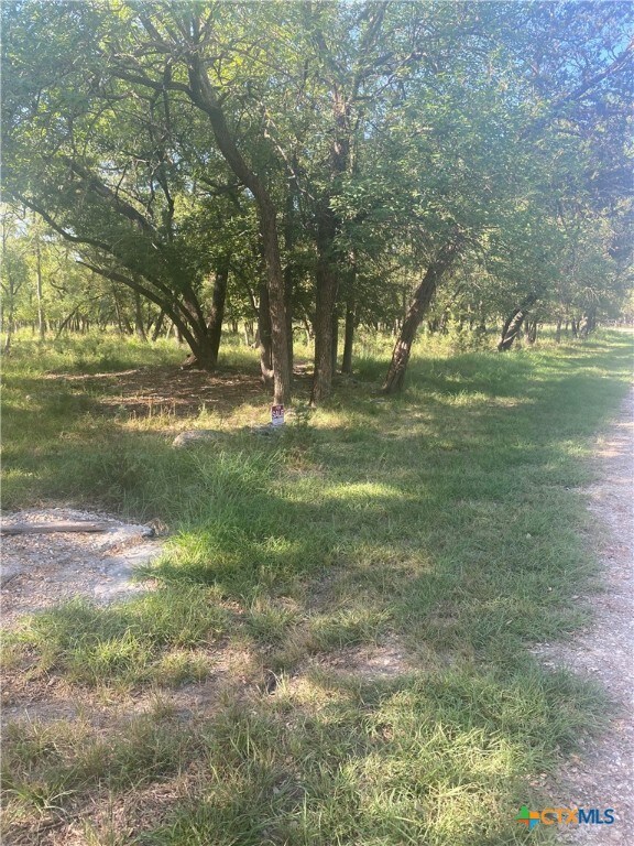 3141 Nibling Ln, Temple, TX 76502 - photo 3