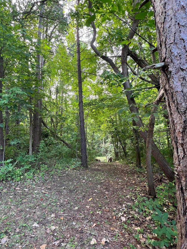 0 W 450 St N unit NRA827579, Michigan City, IN 46350 - photo 3