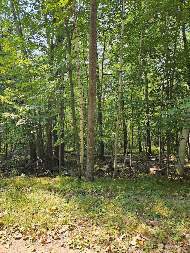 Lots 41-43 Catskill Dr, Breezy Point, MN 56472 - photo 3