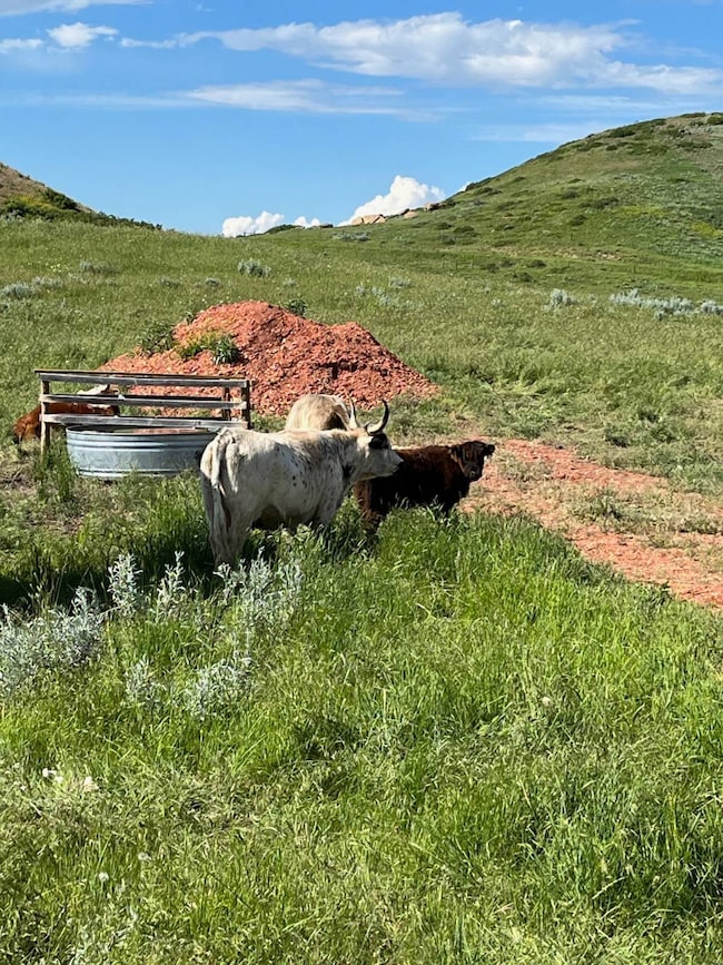 Tract 10 Painted Hills Dr unit 10, Sheridan, WY 82801 - photo 4