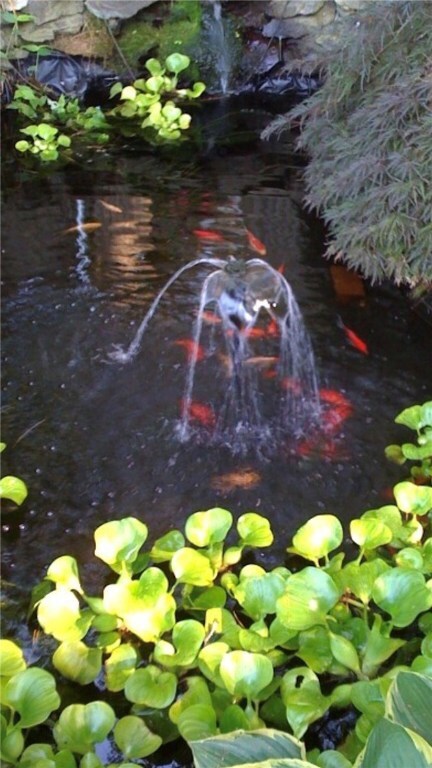 17 Riverview Ave, Smithfield, RI 02917 - photo 6