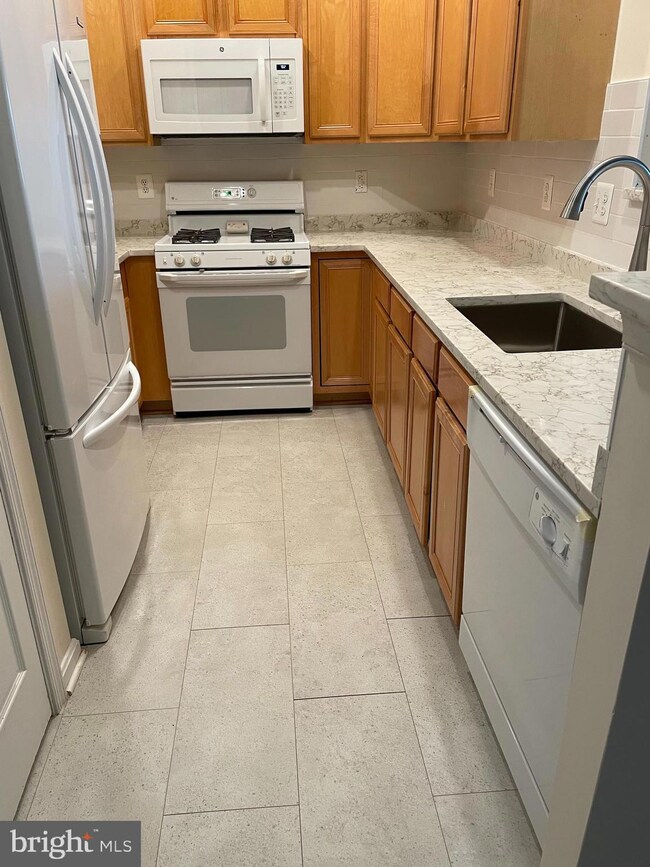 11314 Westbrook Mill Ln unit 302, Fairfax, VA 22030 - photo 4