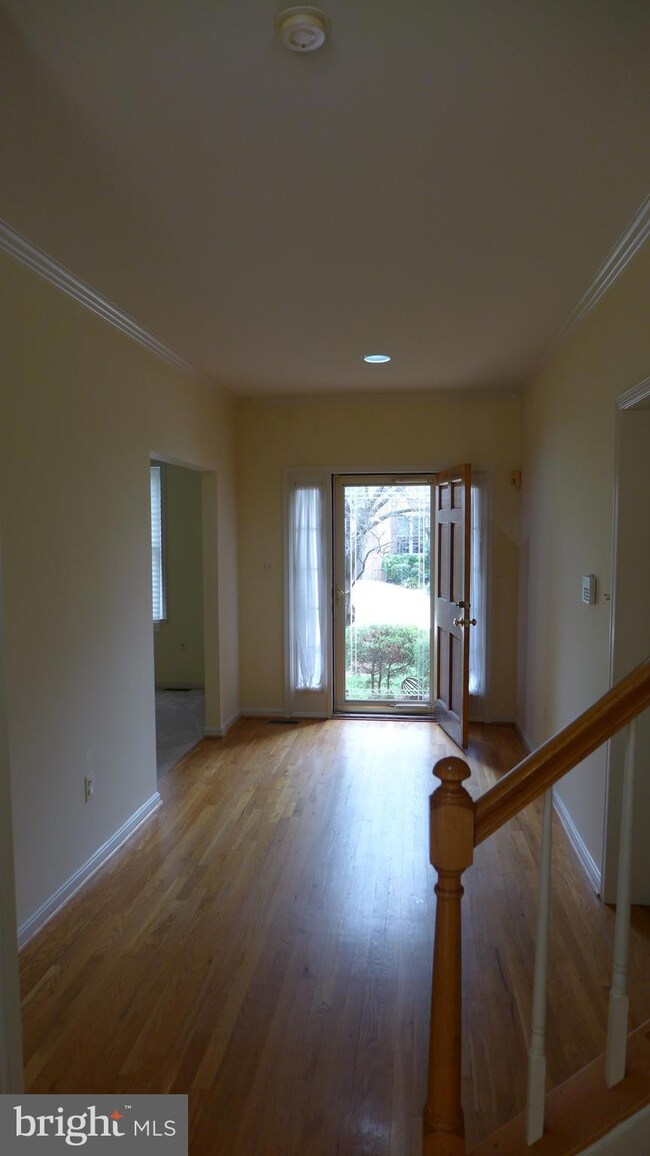 10008 Manor Place, Fairfax, VA 22032 - photo 3
