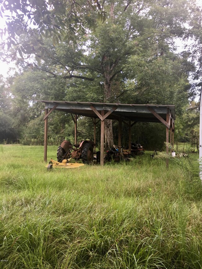 Additional Photo