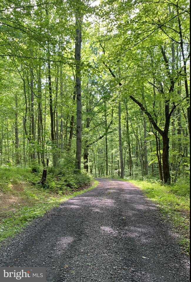 0 Gid Brown Hollow & Pointer Ridge Ln unit VARP107336, Washington, VA 22747 - photo 5