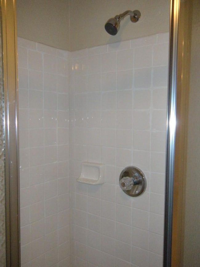 Room details with a tile shower