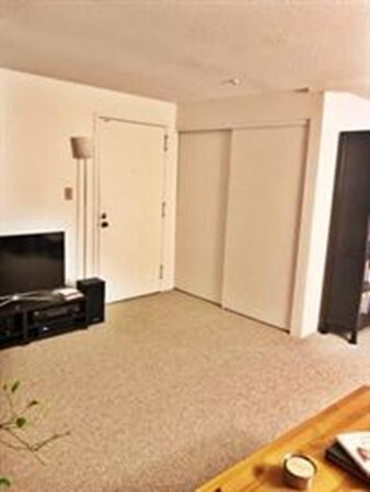 29 Village Rock Ln unit 2, Natick, MA 01760 - photo 4