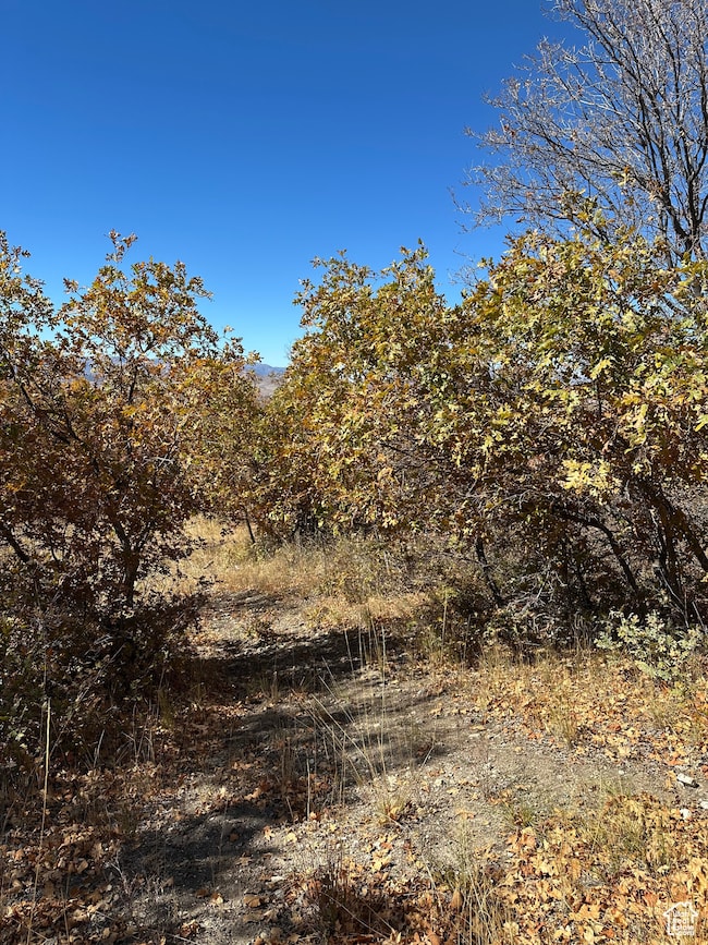 22949 N 13755 E unit 93, Fairview, UT 84629 - photo 7