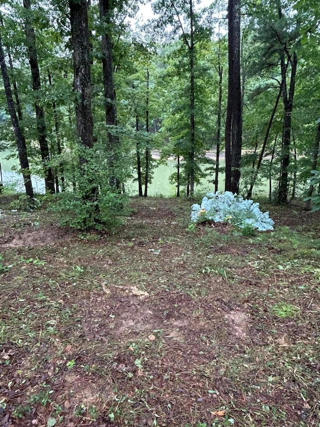 0 Shoreside Dr, Double Springs, AL 35553 - photo 6