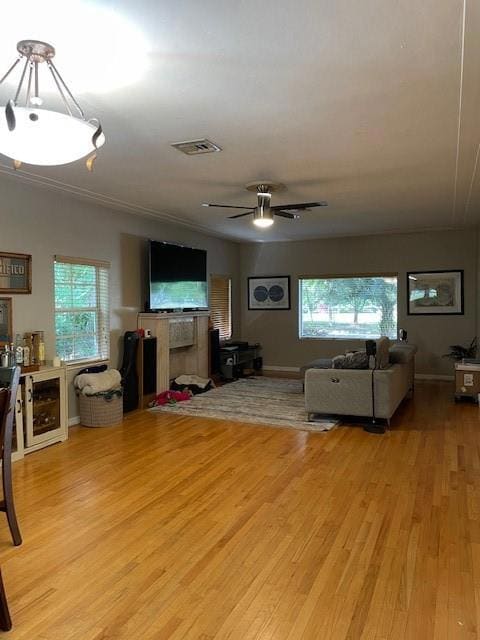 6625 Nervia St, Coral Gables, FL 33146 - photo 2