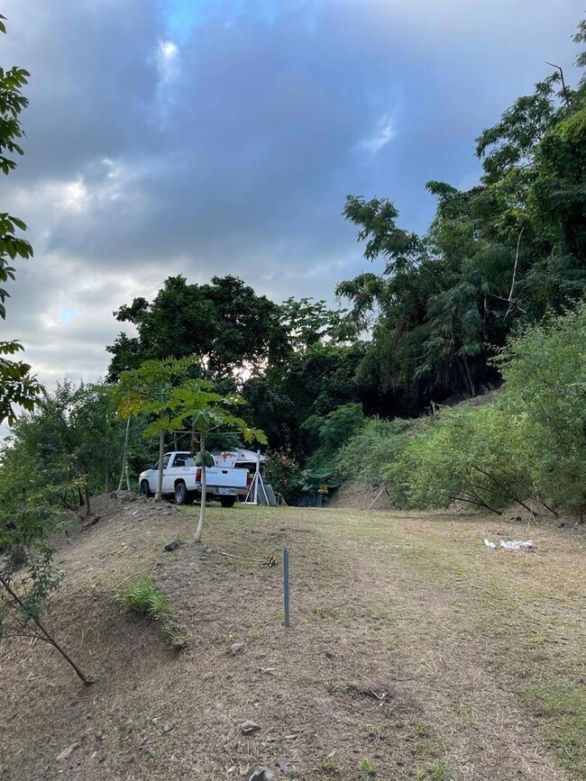 0 unit MFRPR9117727, Anasco, PR 00610 - photo 7