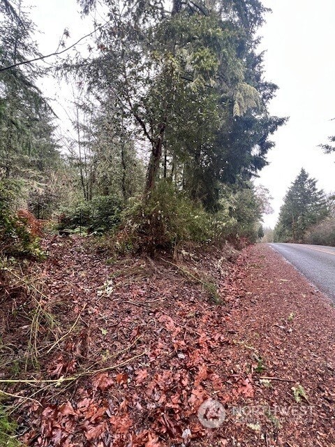 7515 Whiteman Rd SW, Longbranch, WA 98351 - photo 4