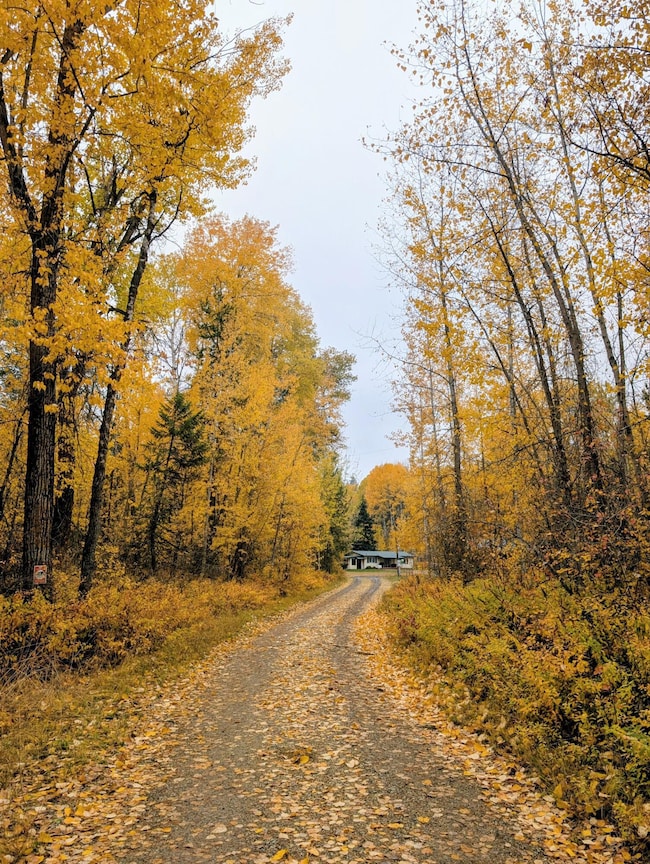 4583 Furze Rd, Clayton, WA 99110 - photo 3