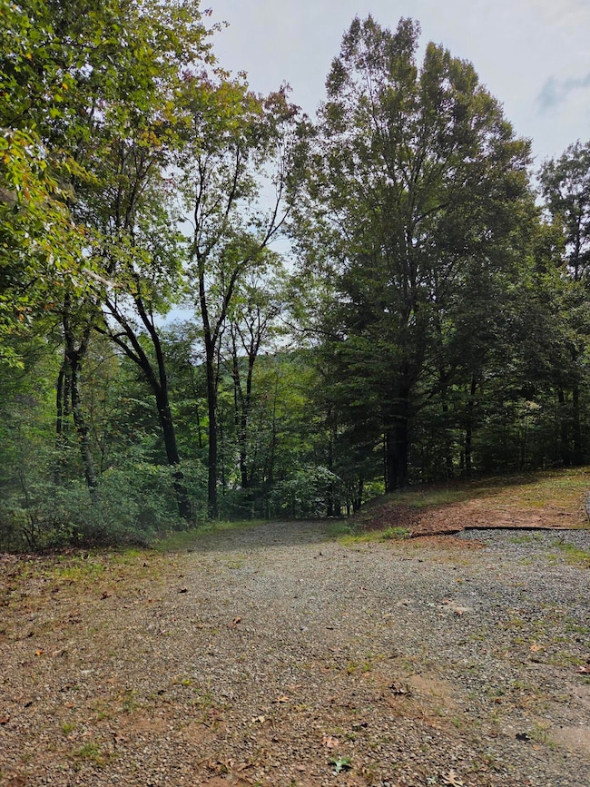 2031 Lone Ivy Rd, Stuart, VA 24171 - photo 2