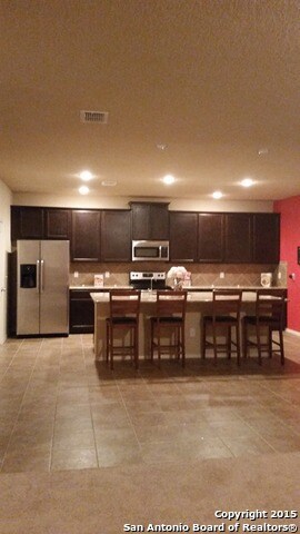 4114 Pavo Viejo, San Antonio, TX 78223 - photo 6