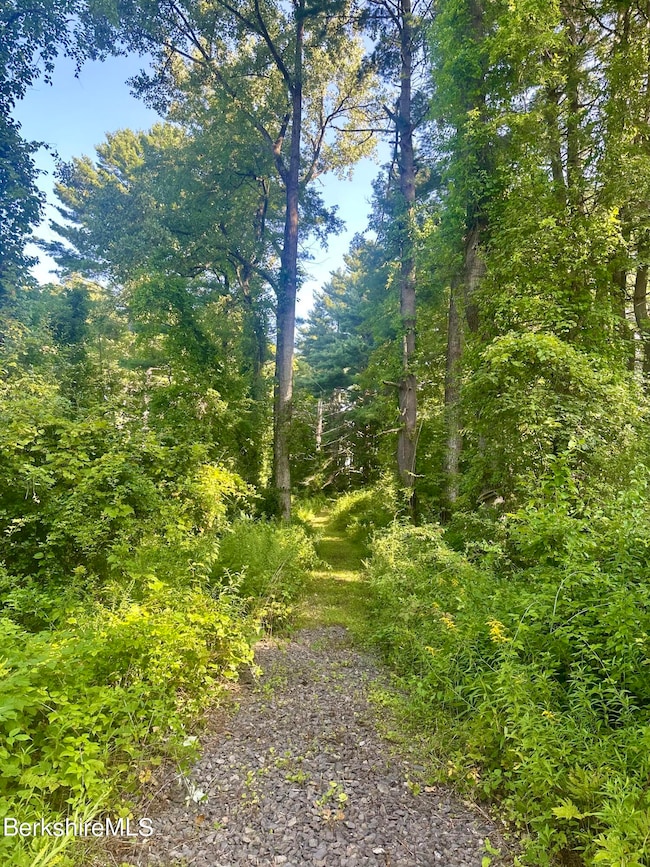 46 Seekonk Rd, Great Barrington, MA 01230 - photo 3