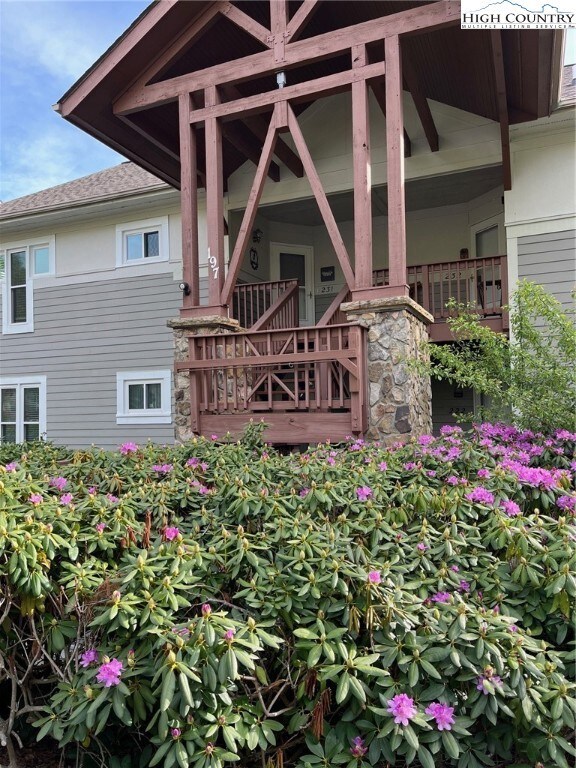 Rhododendrons in Bloom