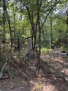 This photo shows a wooded area with tall trees, a dirt path, and some fencing. It offers a natural setting, providing potential privacy and a serene environment. Ideal for buyers looking for a quiet, nature-surrounded location.