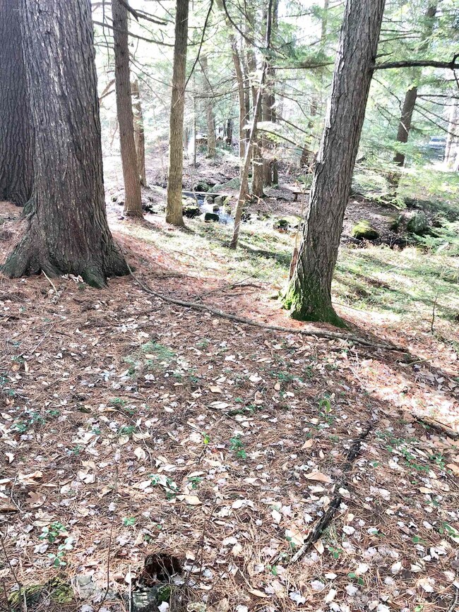 00 Beaver Glen Rd, Hillsboro, NH 03244 - photo 2