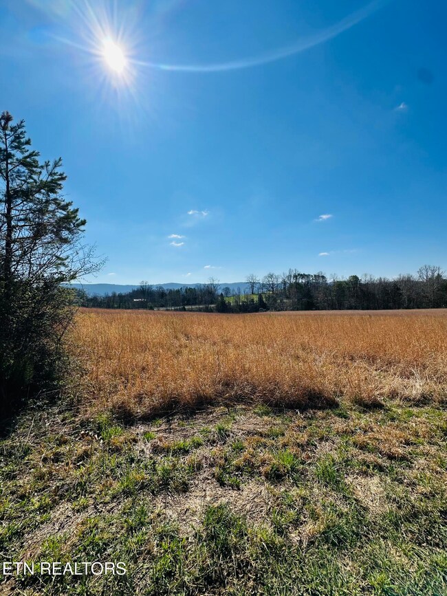 0 US 127, Pikeville, TN 37367 - photo 6