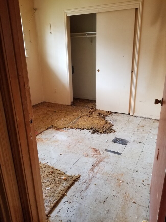 9703 Bertwood St, Houston, TX 77016 - photo 2