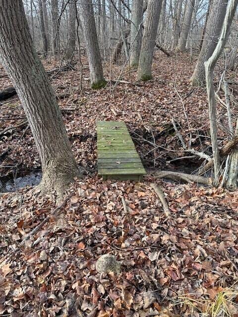 V/L N 12th St, Plainwell, MI 49080 - photo 6