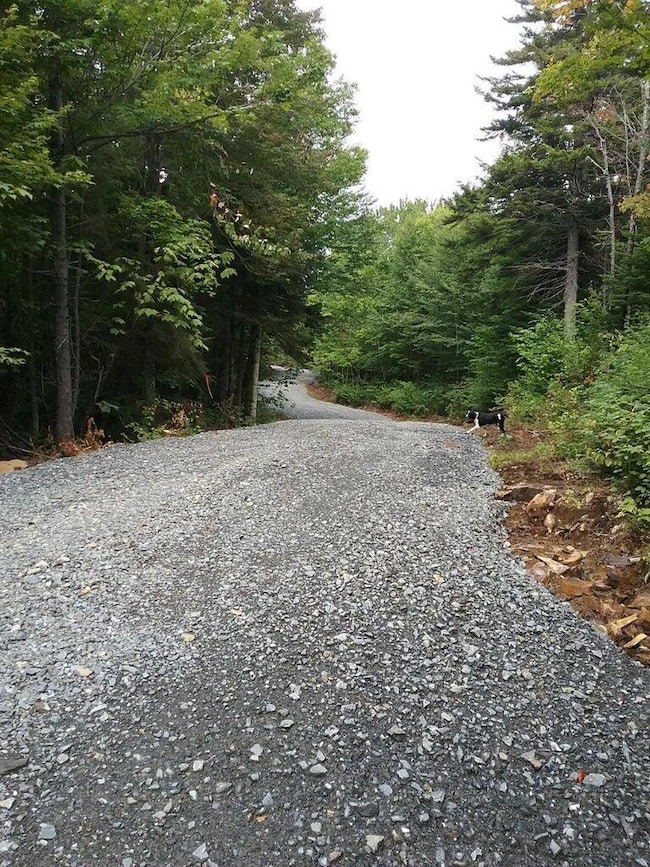 Private Road 1