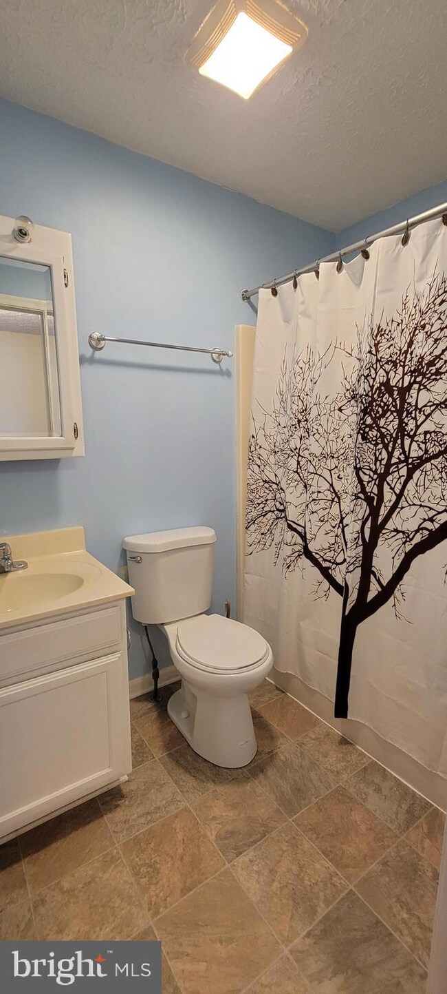 1238 Castine Ct, Pasadena, MD 21122 - photo 4