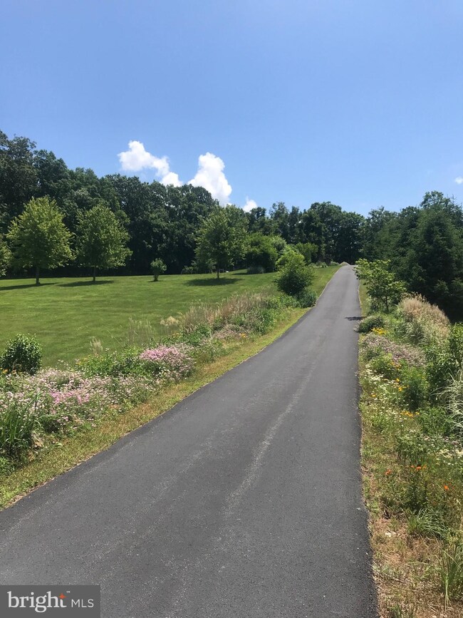 2397 Little Buffalo Rd, Newport, PA 17074 - photo 2