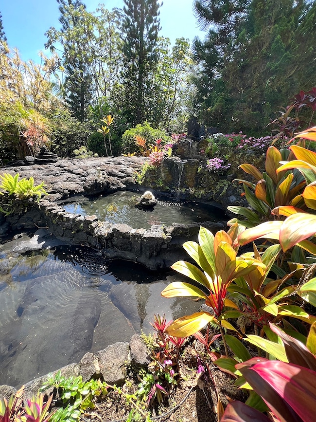 15-1909 3rd Ave, Keaau, HI 96749 - photo 4