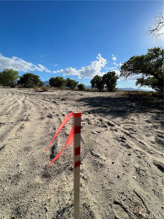 147 E Avenue R, Juniper Hills, CA 93543 - photo 3