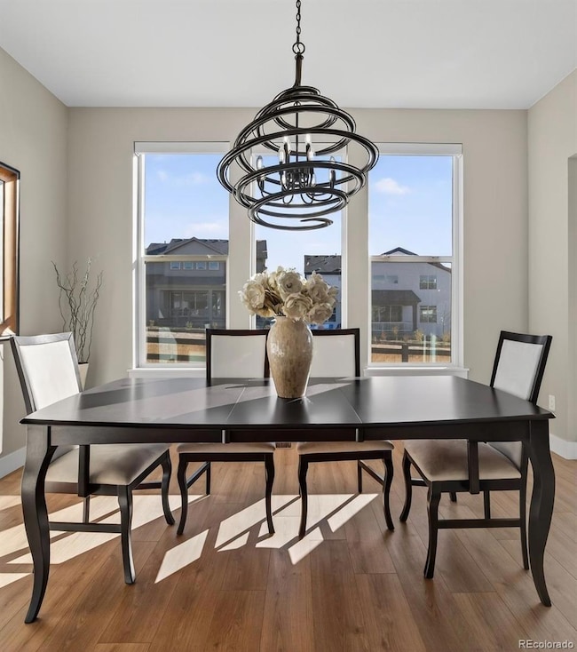 4869 Saddle Iron Rd, Castle Rock, CO 80104 - photo 6