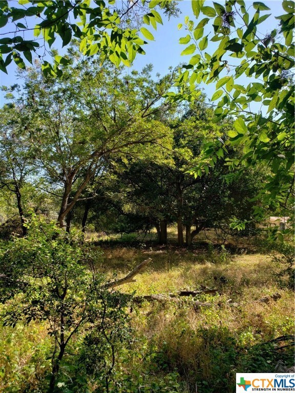 TBD Gruene Rd, New Braunfels, TX 78130 - photo 7