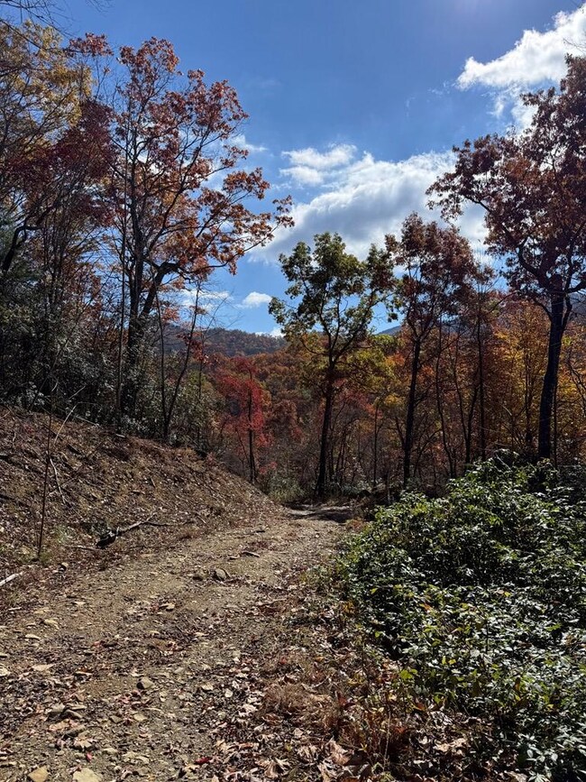 65 Acre Long Branch Rd, Topton, NC 28781 - photo 5