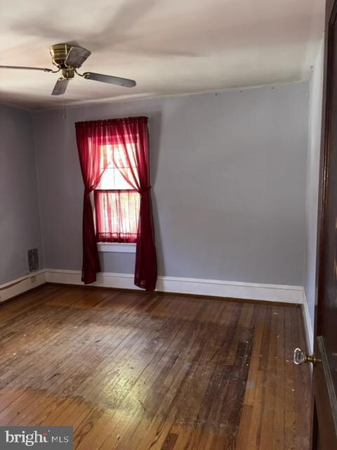 245 E Knight Ave, Collingswood, NJ 08108 - photo 6