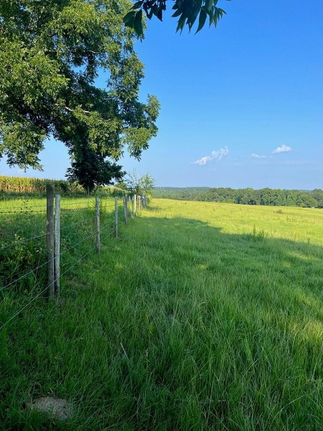 0 53 Hwy unit 24327, Clio, AL 36017 - photo 6