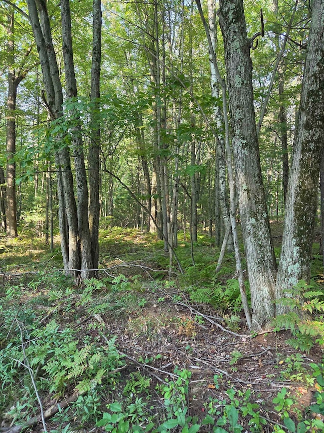 0 Hale Rd unit 50315282, Peshtigo, WI 54157 - photo 2