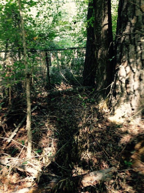 5078 Hardy McManus Rd, Evans, GA 30809 - photo 7