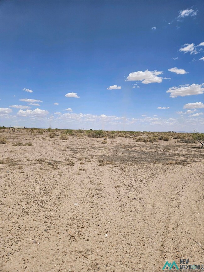 0 Josefita Rd SE unit 20244241, Deming, NM 88030 - photo 4