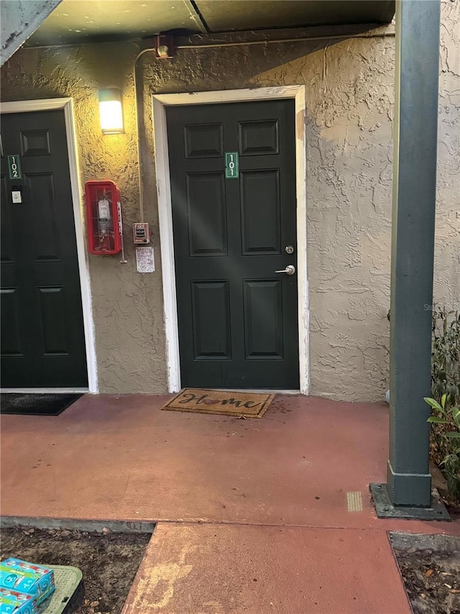 202 Pine Tulip Ct unit 101, Tampa, FL 33612 - photo 2