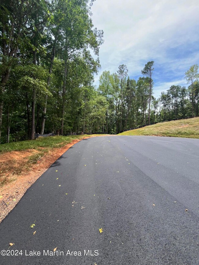 0 Centerport Rd unit 24-1091, Dadeville, AL 36853 - photo 2